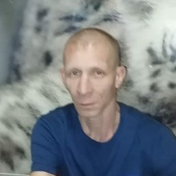 , 41, 