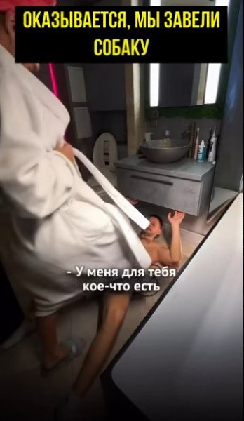 Дорогой, хочу тебе сказать, что я купила собачку) - 2