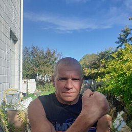 ���� �������, �����������, 54 ���� - ��������� 25 ����� 2026