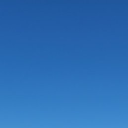 ��������, �����-���������, 41 ���