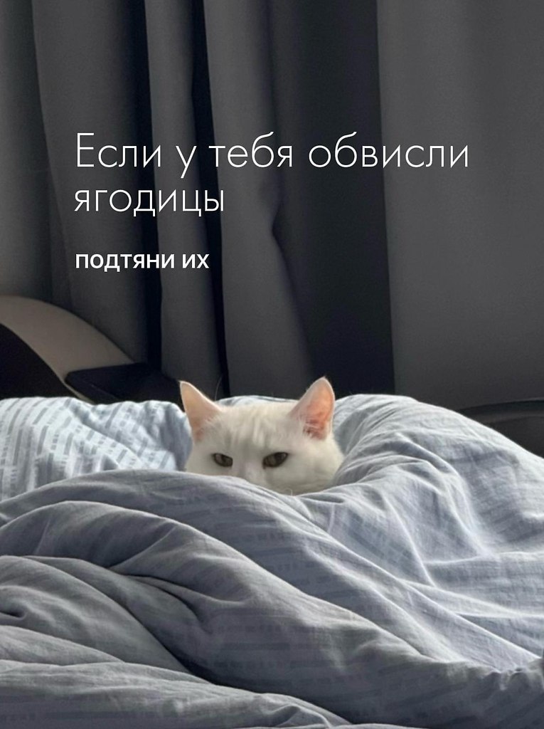 ��������� - 3