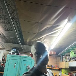 �������, ���������, 37 ���