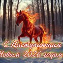���� ������, ������������, 45 ��� - ��������� 3 ������ 2026