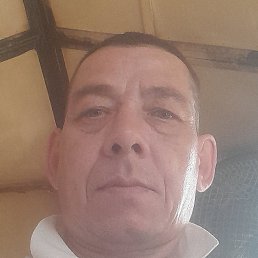 ����, ������, 49 ���