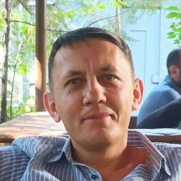 �����, ����������, 44 ����