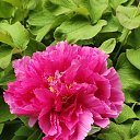 ���� ������, �����, 71 ��� - ��������� 27 ������ 2025 � ������ ���� ����������