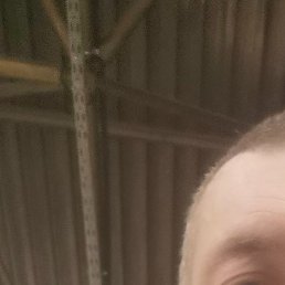 �������, �����, 41 ���