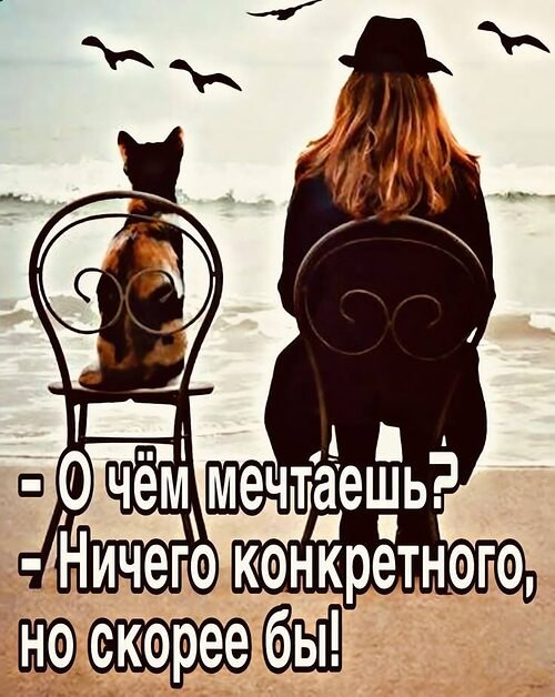   ,  ,     .         ...