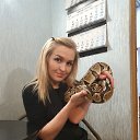 ���� ����, ������, 30 ��� - ��������� 5 ������� 2026