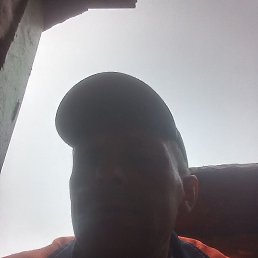 ���������, �����, 44 ����