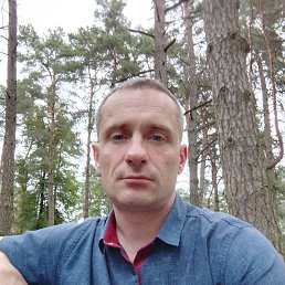 , 39, 