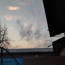 Shoxrux, �������, 31 ���