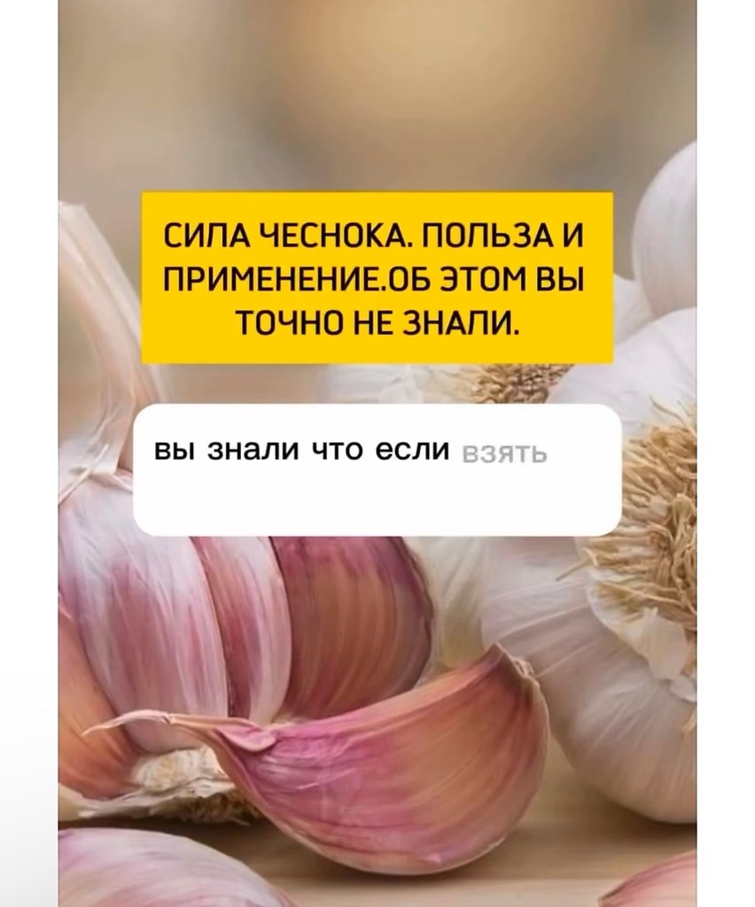 ������ | Wisdom & Beauty - 28 �������� 2025 � 18:37