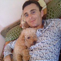 ����� �������, ������, 37 ���