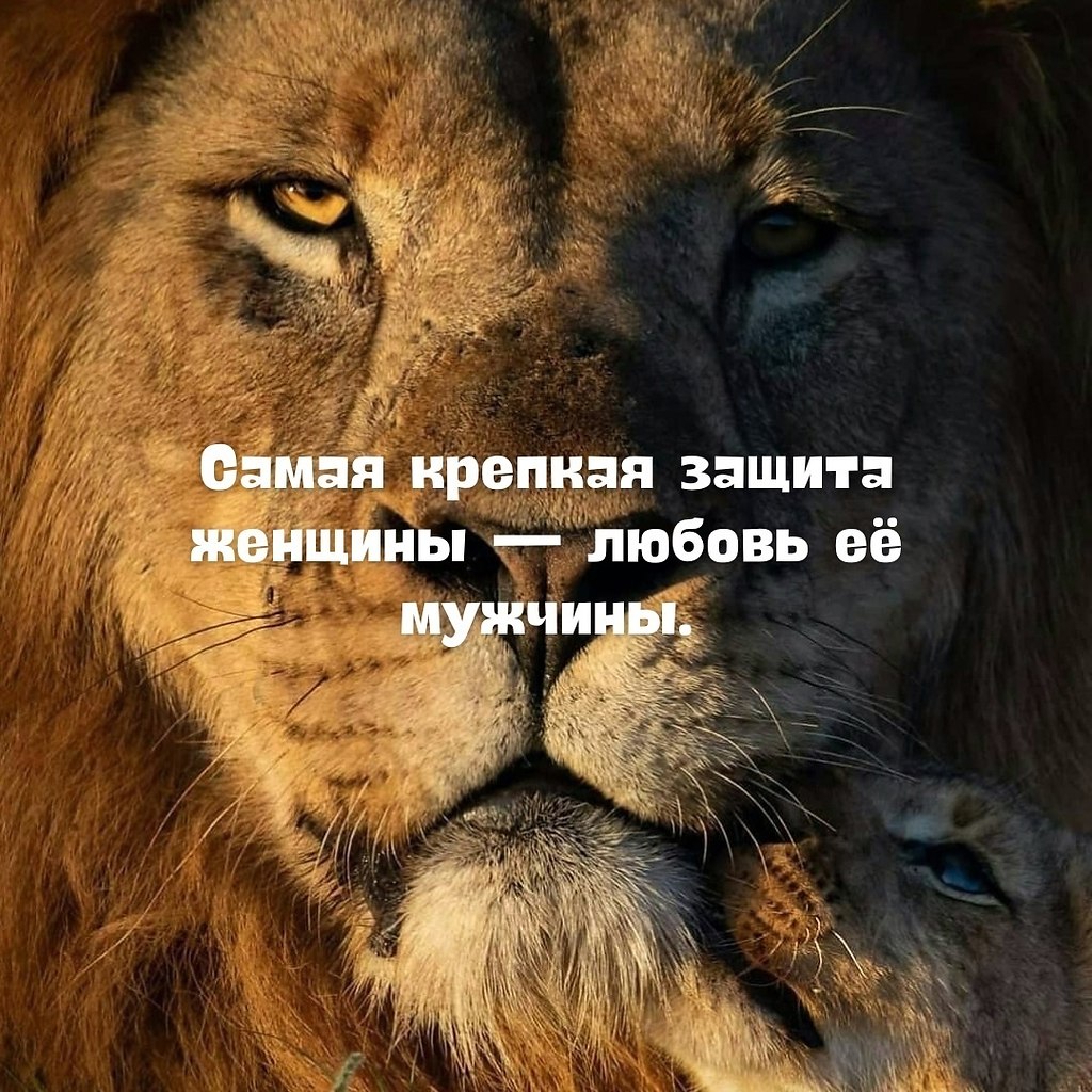 Используешь статусы