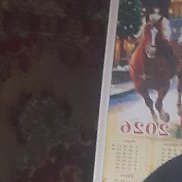 �����, 49 ���, ������