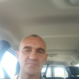 , 51 , 