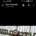 ���� ����, ������������, 40 ��� - ��������� 6 ������� 2025 � ������ ���� ����������