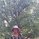 ���� �����, ���������, 55 ��� - ��������� 24 ���� 2025