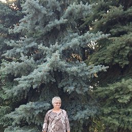 ������, ��������, 63 ����