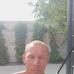 ������, 46 ���, ���������