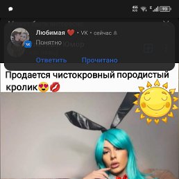 ���� ����, �����������, 24 ���� - ��������� 17 ��� 2024