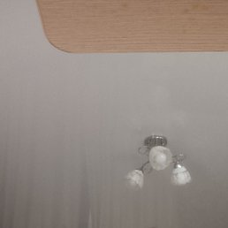 �����, 21 ���, �����-���������