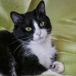 Aleks, ����, 58 ���