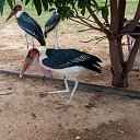 ���� �������, �������, 59 ��� - ��������� 9 ������� 2023 � ������ ���� ����������