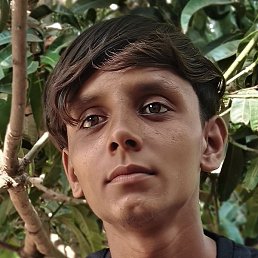 Rahil Kazi, �����������, 20 ���