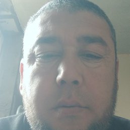 ��������, �����������, 48 ���