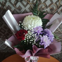 ������, ���������, 50 ���