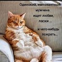  , , 55  -  17  2025