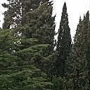 ���� �����, �����������, 57 ��� - ��������� 29 ����� 2025 � ������ ���� ����������