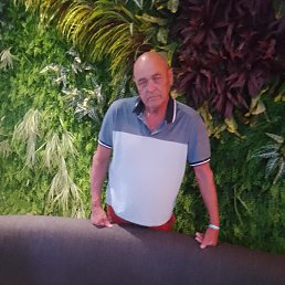 , 66, 