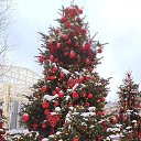 ���� �����, ������, 59 ��� - ��������� 12 ������ 2026 � ������ ���� ����������