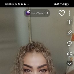 , 36, 