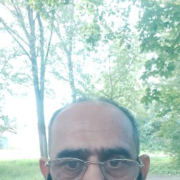 , 53, 