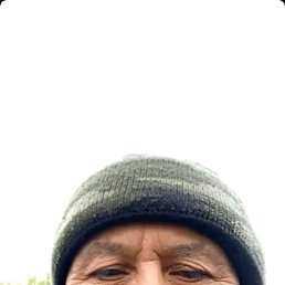 , 65, 