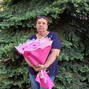 ���� ����, �����, 53 ���� - ��������� 27 ��� 2026 � ������ ���� ����������