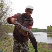 ����, 40 ���, �����������