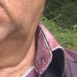 �������, ����, 64 ����