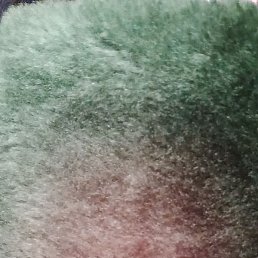 ����, ������, 41 ���