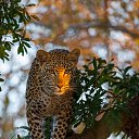 ���� Bakchiv.cepra, ����, 49 ��� - ��������� 4 ������� 2025 � ������ ���� ����������