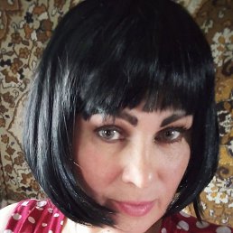 ����, ������ ��������, 49 ���