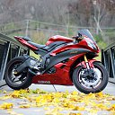 ���� Aleks, ������ - ��������� 26 �������� 2026