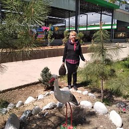 ����, �������, 60 ���