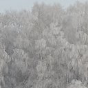 ���� �������, ������, 46 ��� - ��������� 20 ������ 2024 � ������ ���� ����������