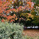  Gina Smirnova, -, 46  -  6  2025    