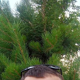 , 31, 